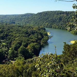 Meet your Posher, Molly